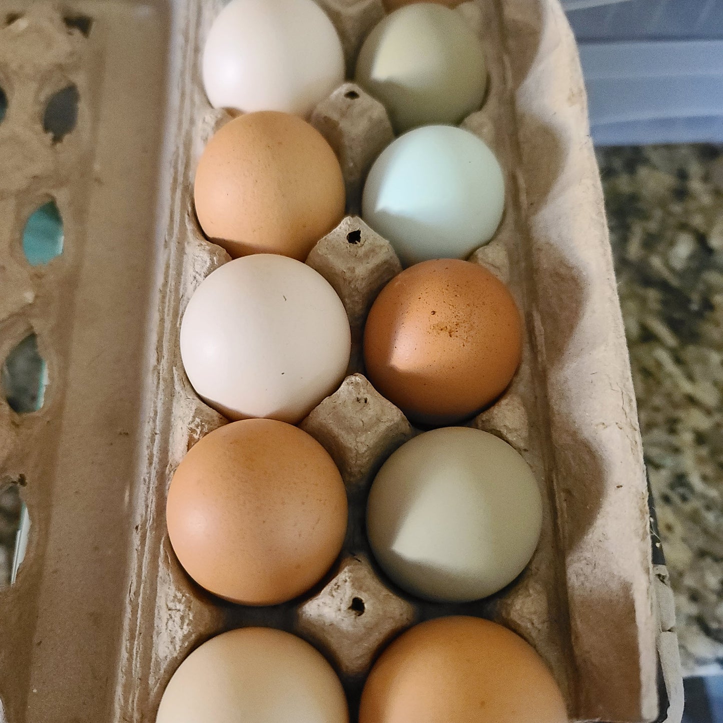 Huevos frescos de granja