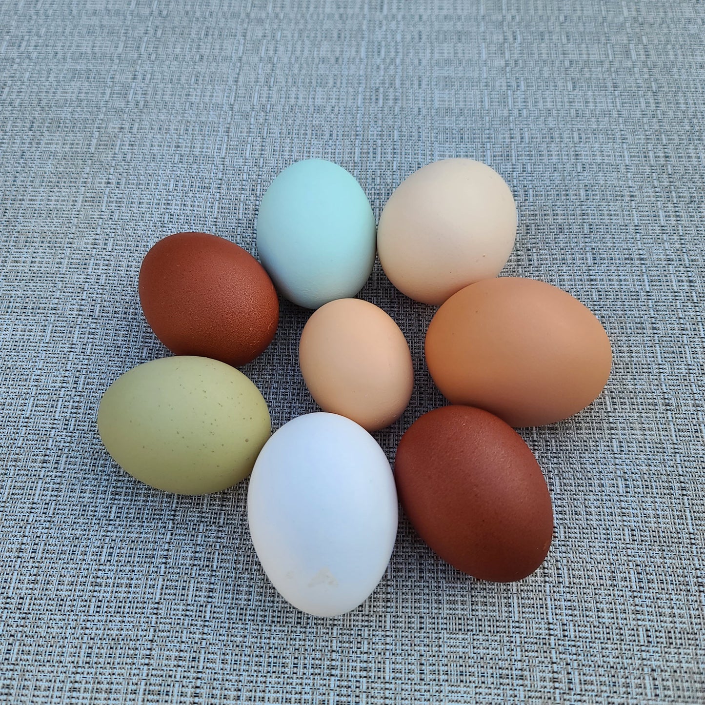 Huevos frescos de granja