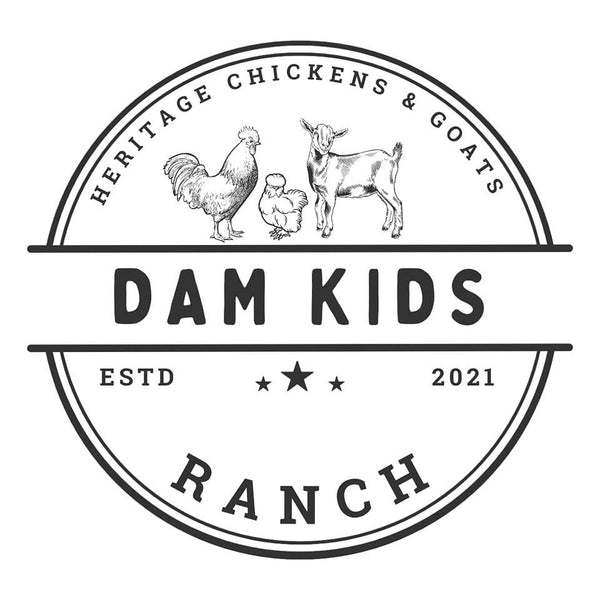 Dam Kids Ranch