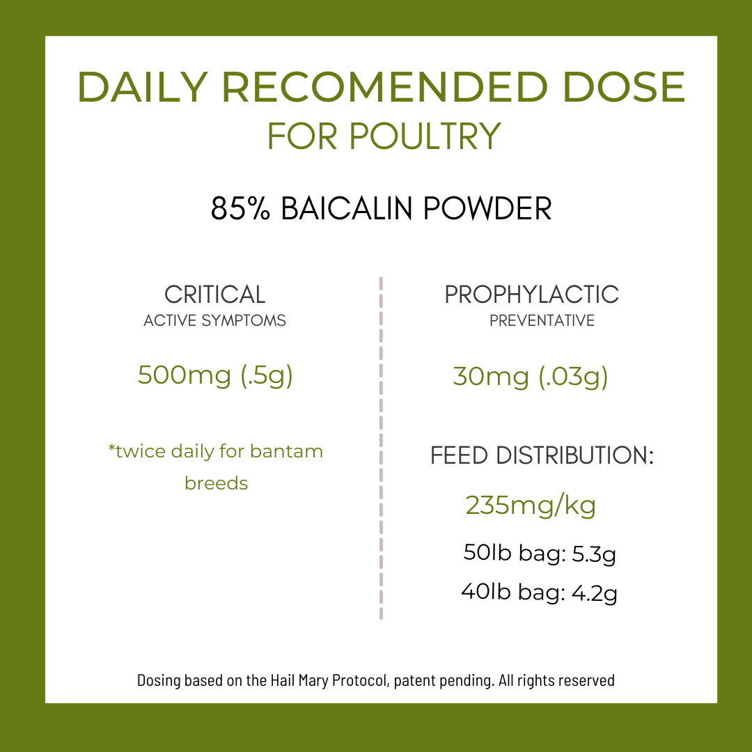 Fortiflock™ Positive Support 85 % Baicalina en polvo