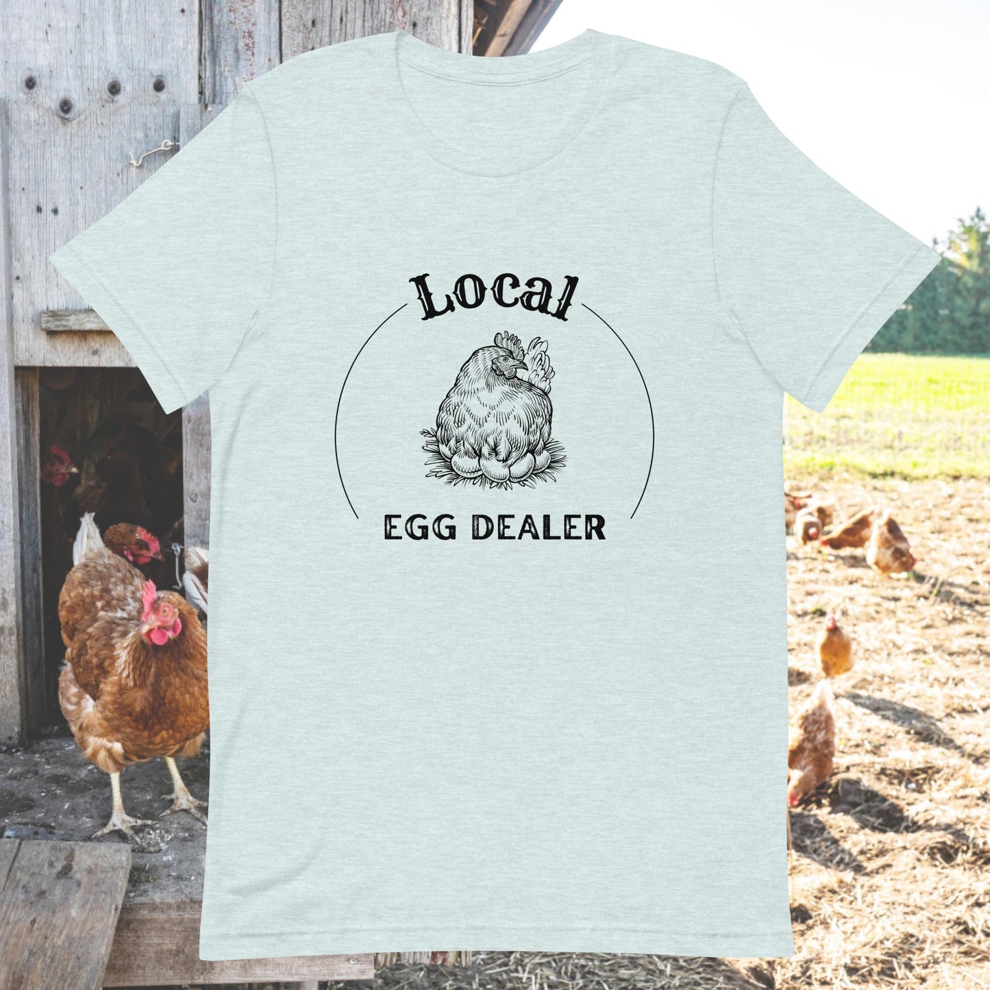 Distribuidor local de huevos