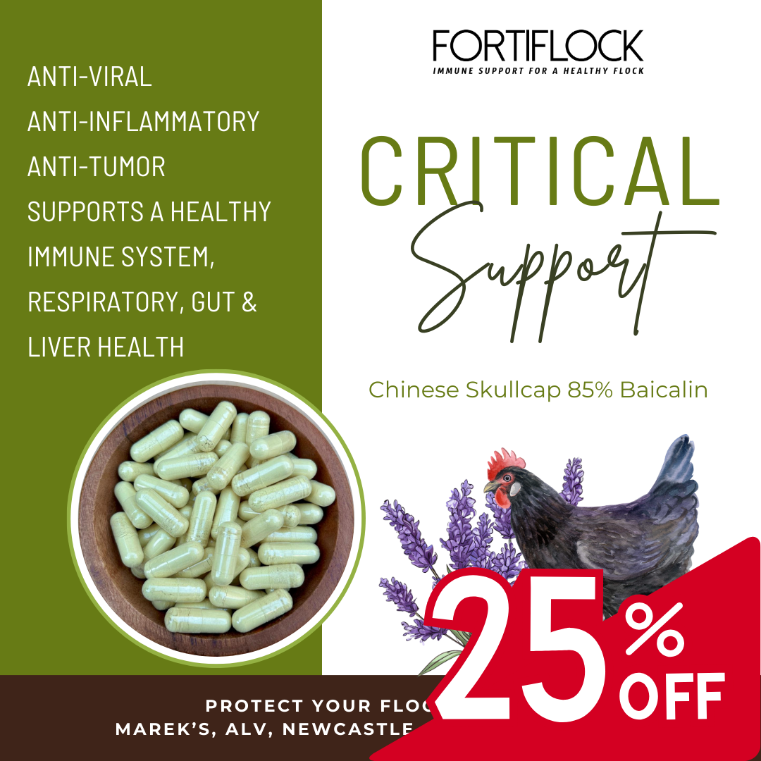 Gélules Fortiflock™ Critical Support 85 % Baicaline