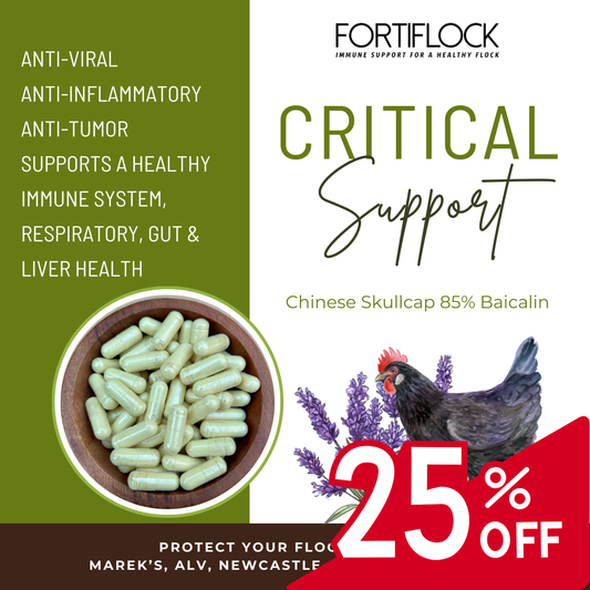 Fortiflock™ Critical Support 85% Baicalin capsules