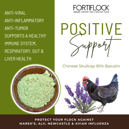 Fortiflock™ Positive Support 85% Baicalin powder