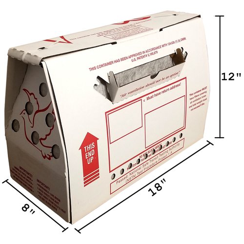 Caja - Pájaro vivo 18x12x8